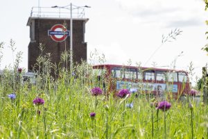 A photo of an underground station and London bus with wildflowers inthe foreground