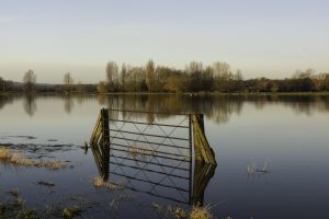 A stock photo showing Flooded fields on the Somerset Levels in the west of England