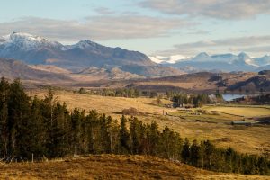 A stock photo of the Scottish Highlands with trees in the foreground, human activity in the middle right, and mountains in the background